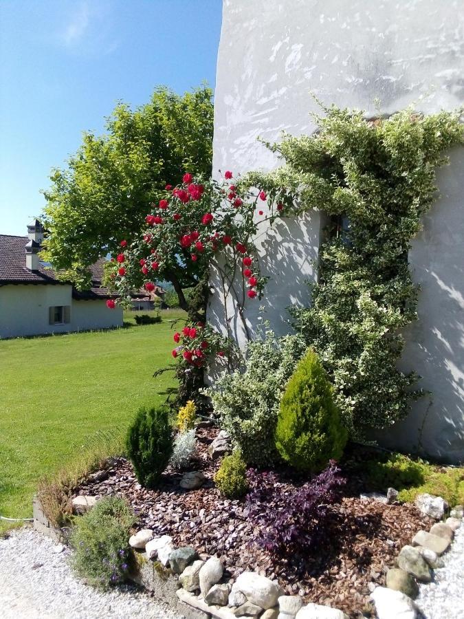 B&B La Casa Di Loretta Paderno Exteriér fotografie